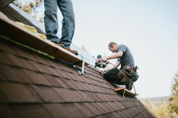 Quick and Trustworthy Emergency Roof Repair Services in Calumet City, IL